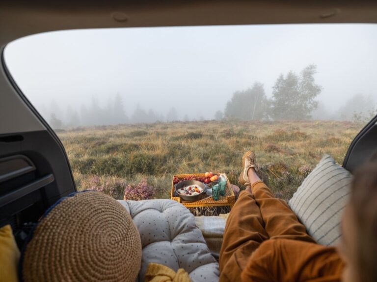 Your Ultimate Guide to Camp Comfortably in Your Car